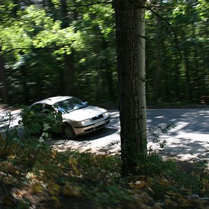 IMG 249.jpg