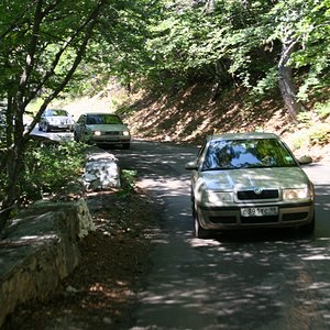 IMG 277.jpg