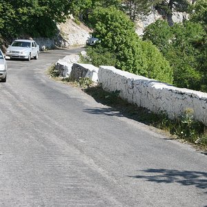 IMG 305.jpg