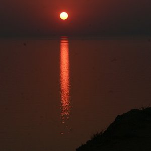 IMG 316.jpg