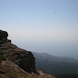 IMG 347_resize.jpg