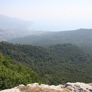 IMG 420.jpg