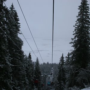 IMG 790.jpg