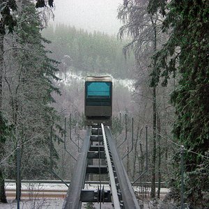 IMG 769.jpg