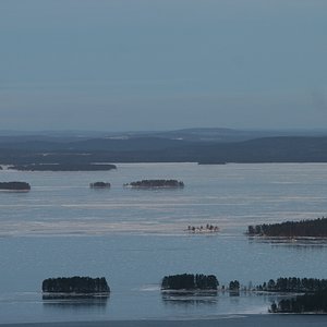 IMG 141.jpg