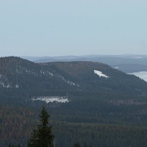 IMG 139.jpg