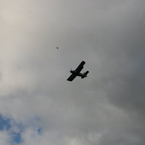 IMG_5875.JPG