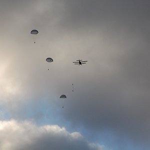 DSC_8972.JPG