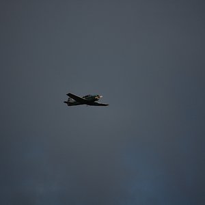 DSC_9029.JPG