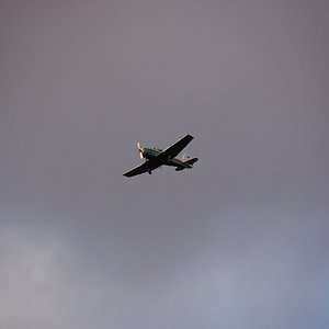 DSC_6156.JPG