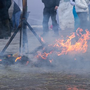 IMG_8533.jpg