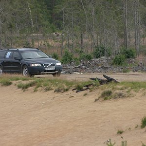 IMG_2608.JPG