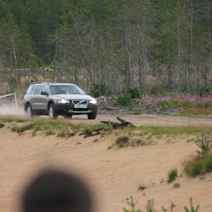 IMG_2629.JPG