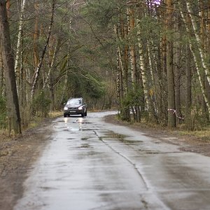 IMG_5619.jpg