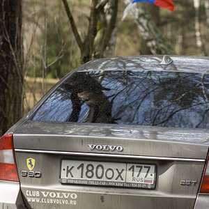 IMG_5630.jpg