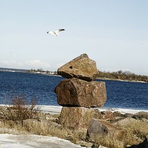 64.jpg