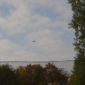 IMGP5133.JPG