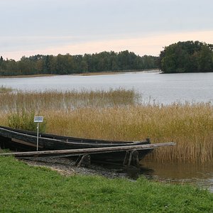 IMG_6427.jpg