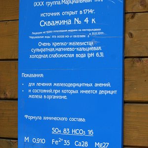 IMG_6472.jpg