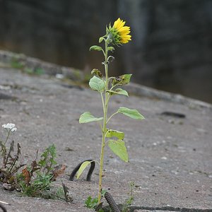 IMG_6663.jpg