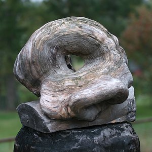 IMG_6728.jpg
