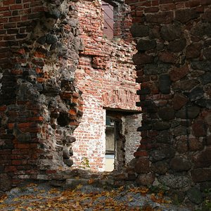 IMG_6782.jpg