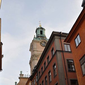 DSC_0088.jpg