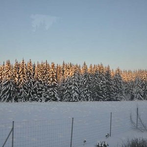 DSC_0223.jpg