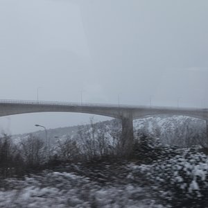 IMG_0005.JPG