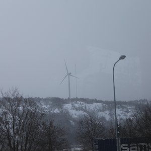 IMG_0006.JPG