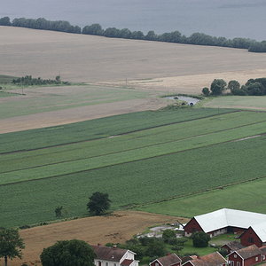 _MG_6345.jpg
