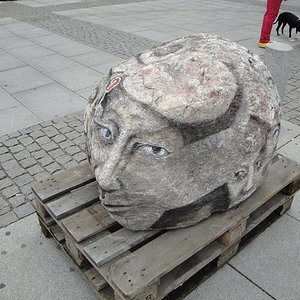 56.jpg
