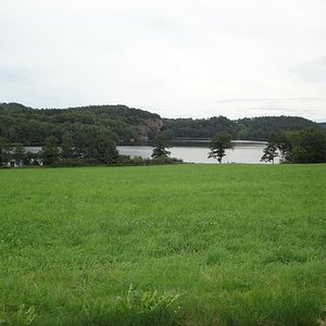 140.jpg