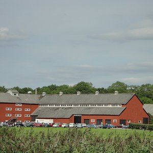 170.jpg
