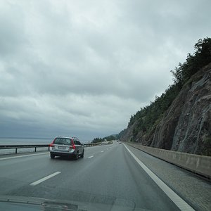 262.jpg