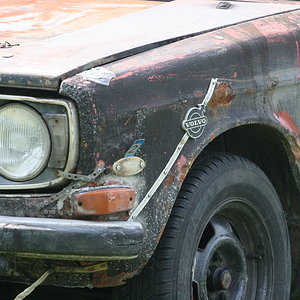 IMG_6130.jpg