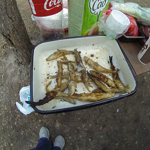 G0079525.JPG