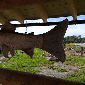20190831_161945.jpg