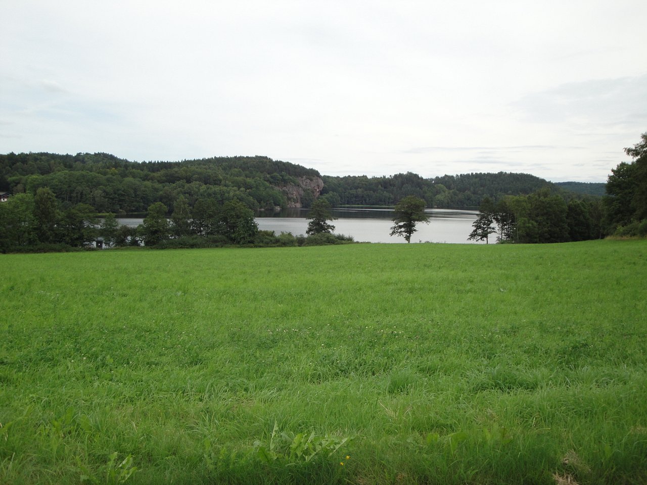 140.jpg