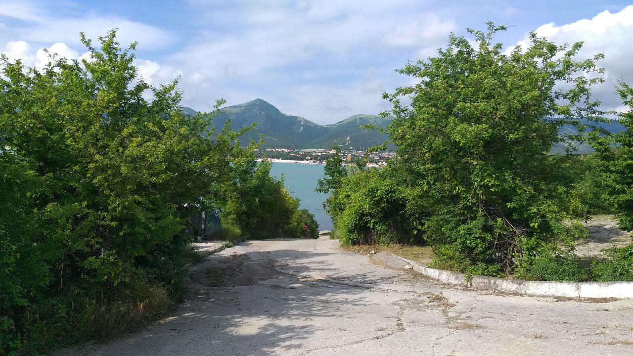 200417300415_7796.jpg