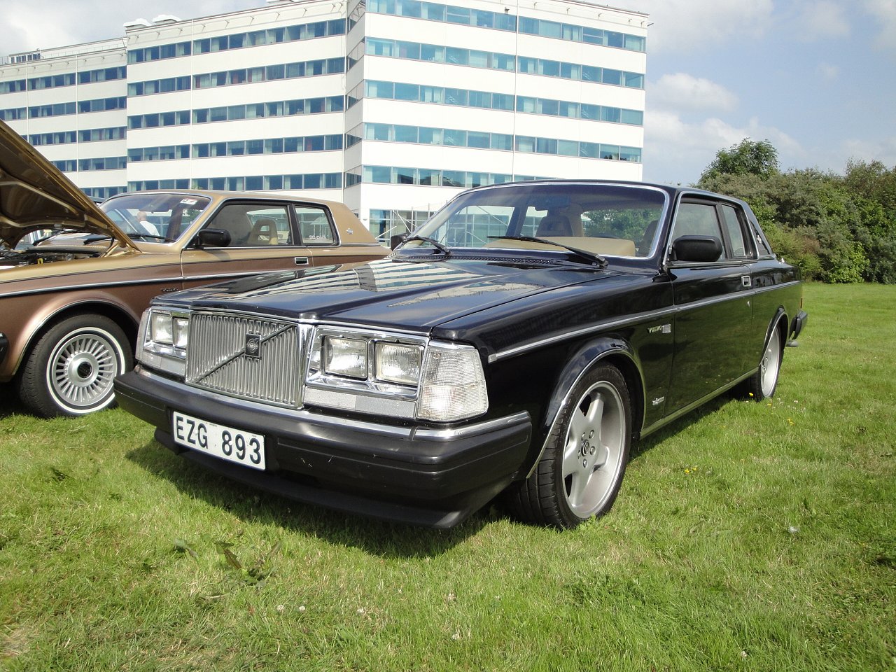 217.jpg