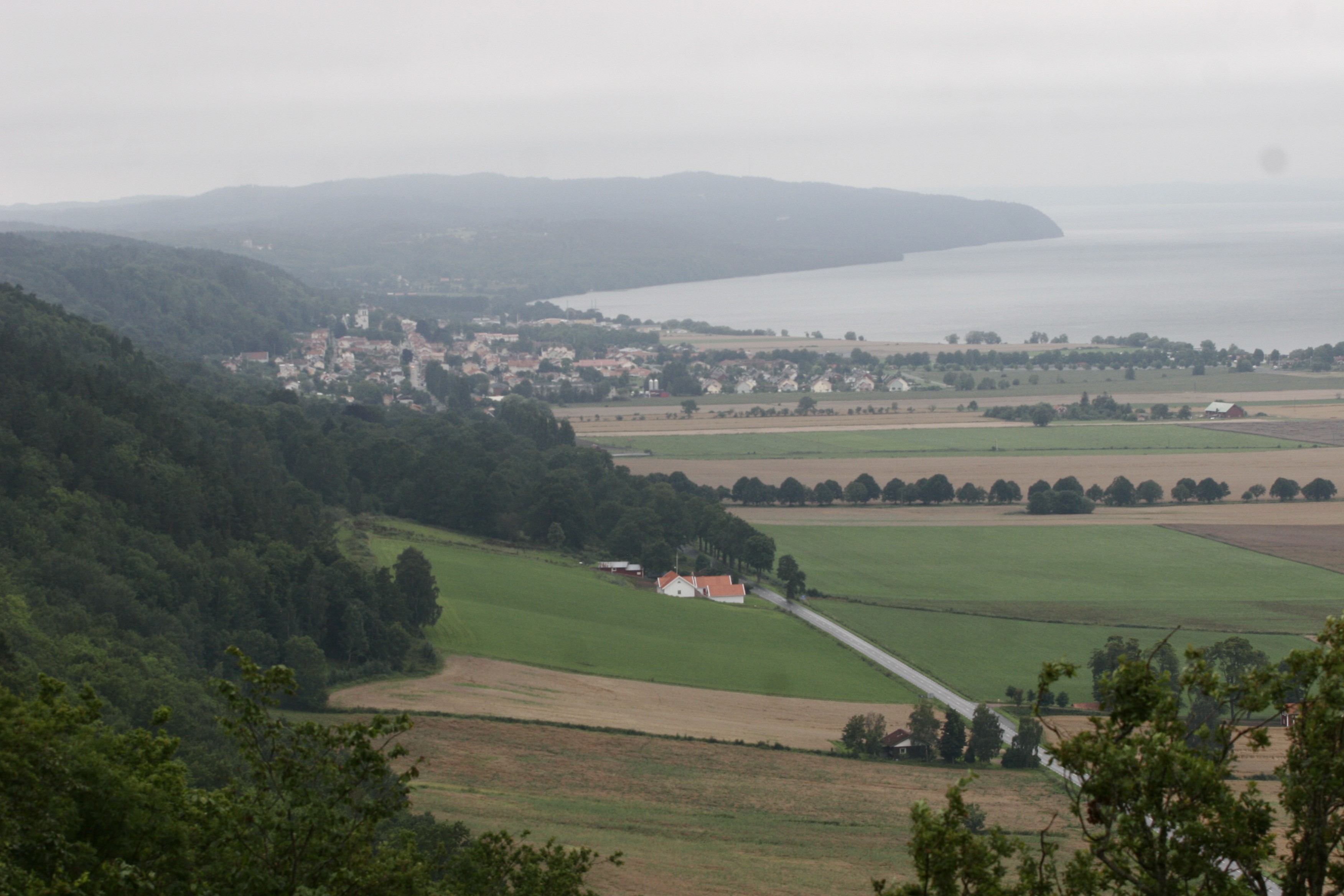 _MG_6336.jpg
