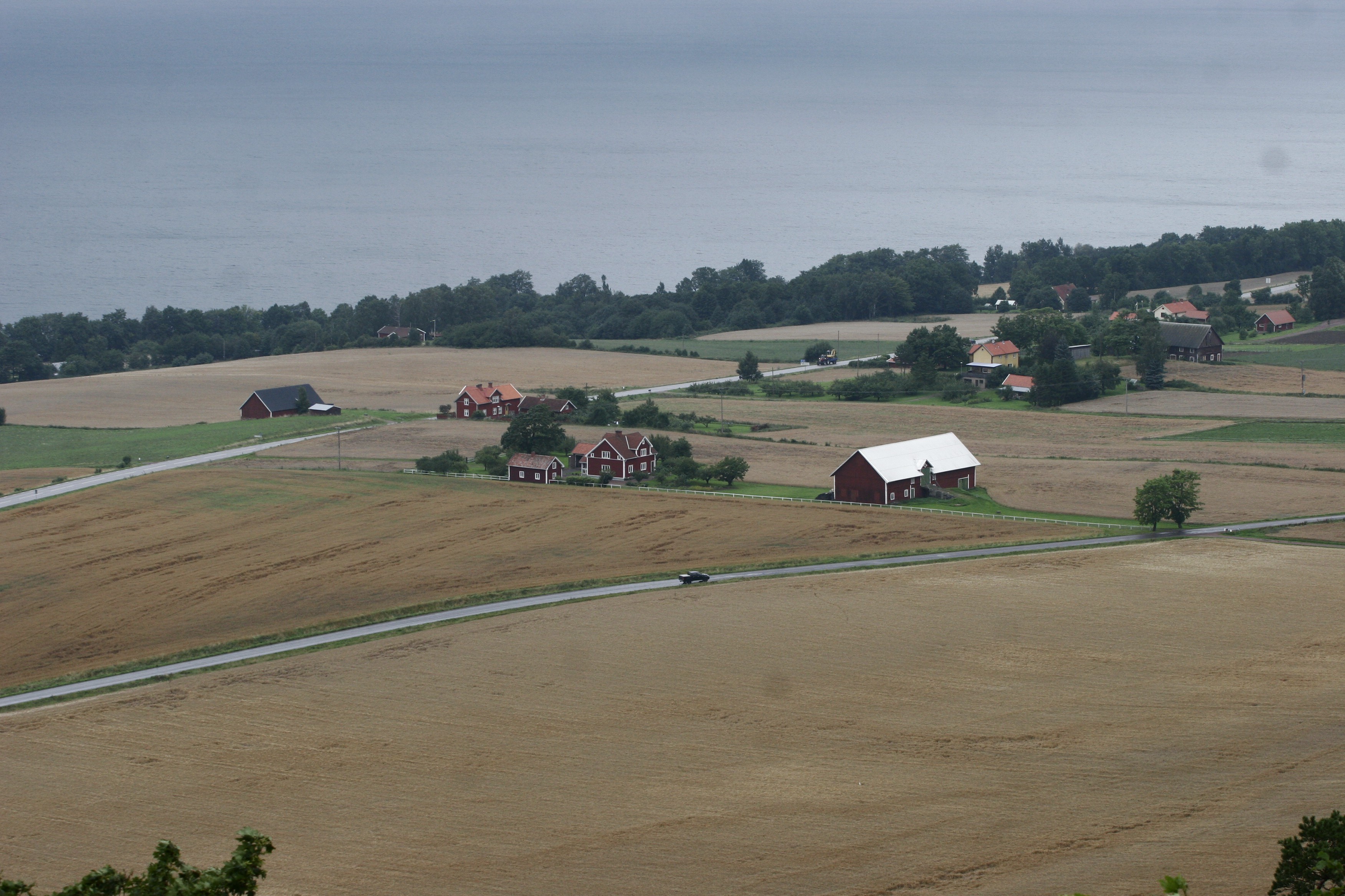 _MG_6342.jpg