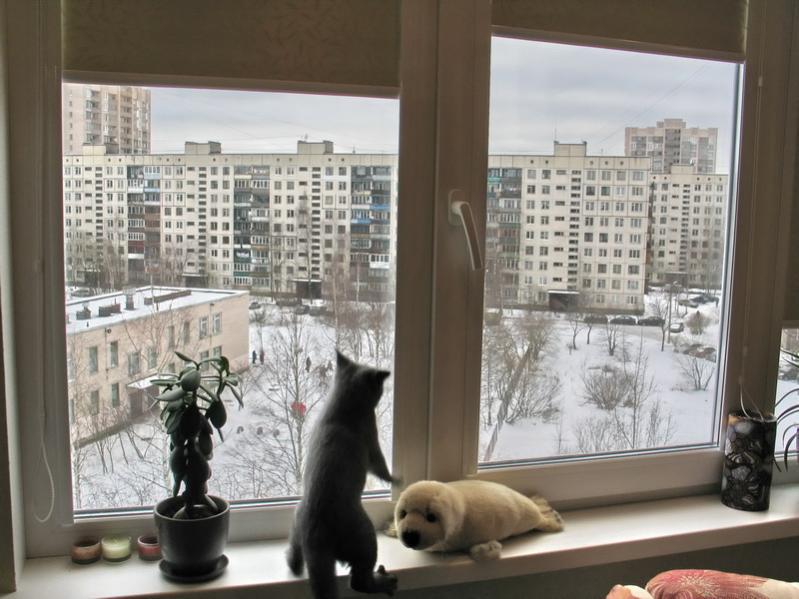 А теперь лааамбада!
P.S.Удержалась таки:)))