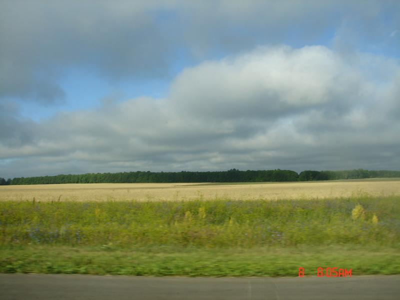 DSC04542
