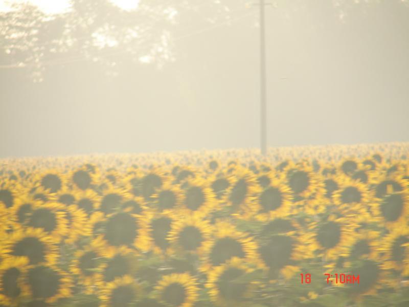 DSC04928