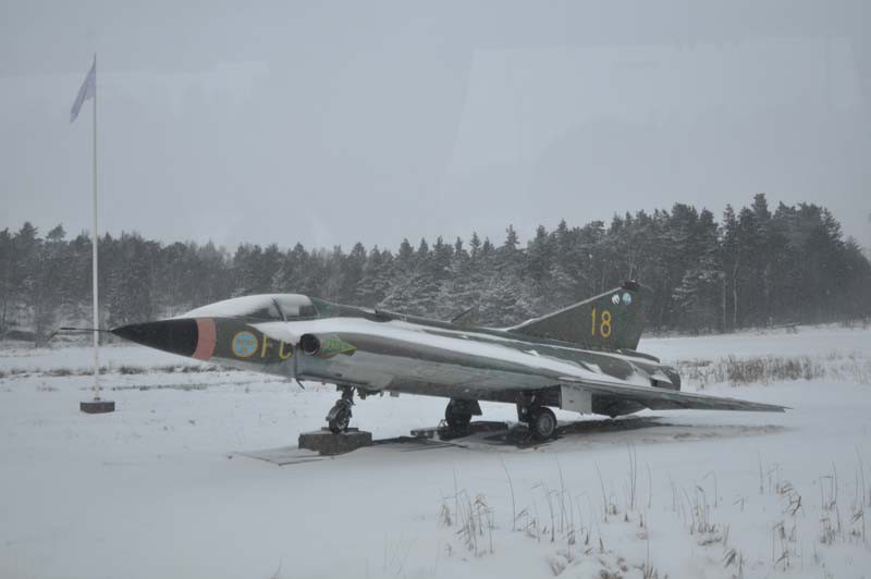 DSC_0242.jpg