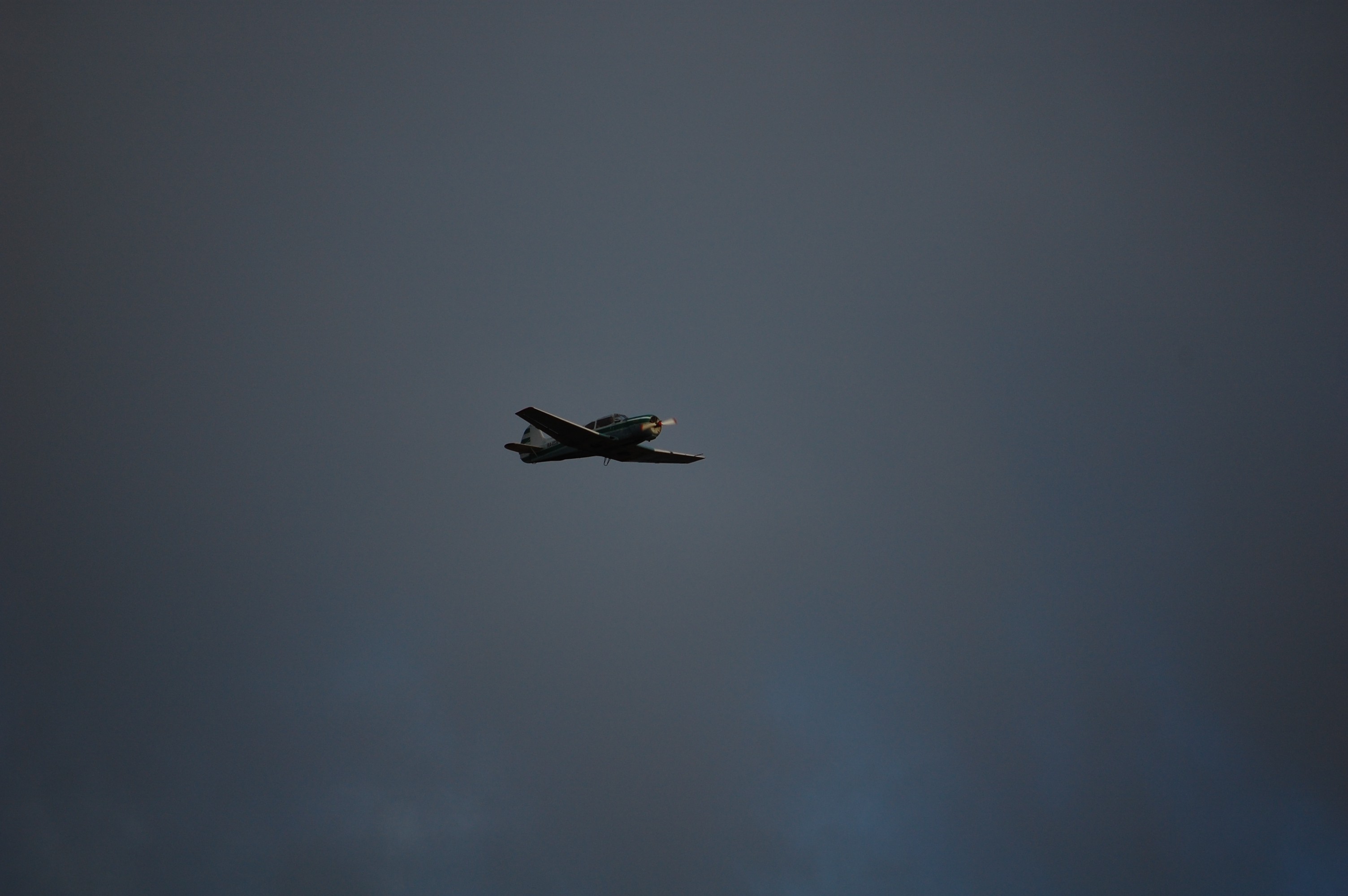 DSC_9029.JPG