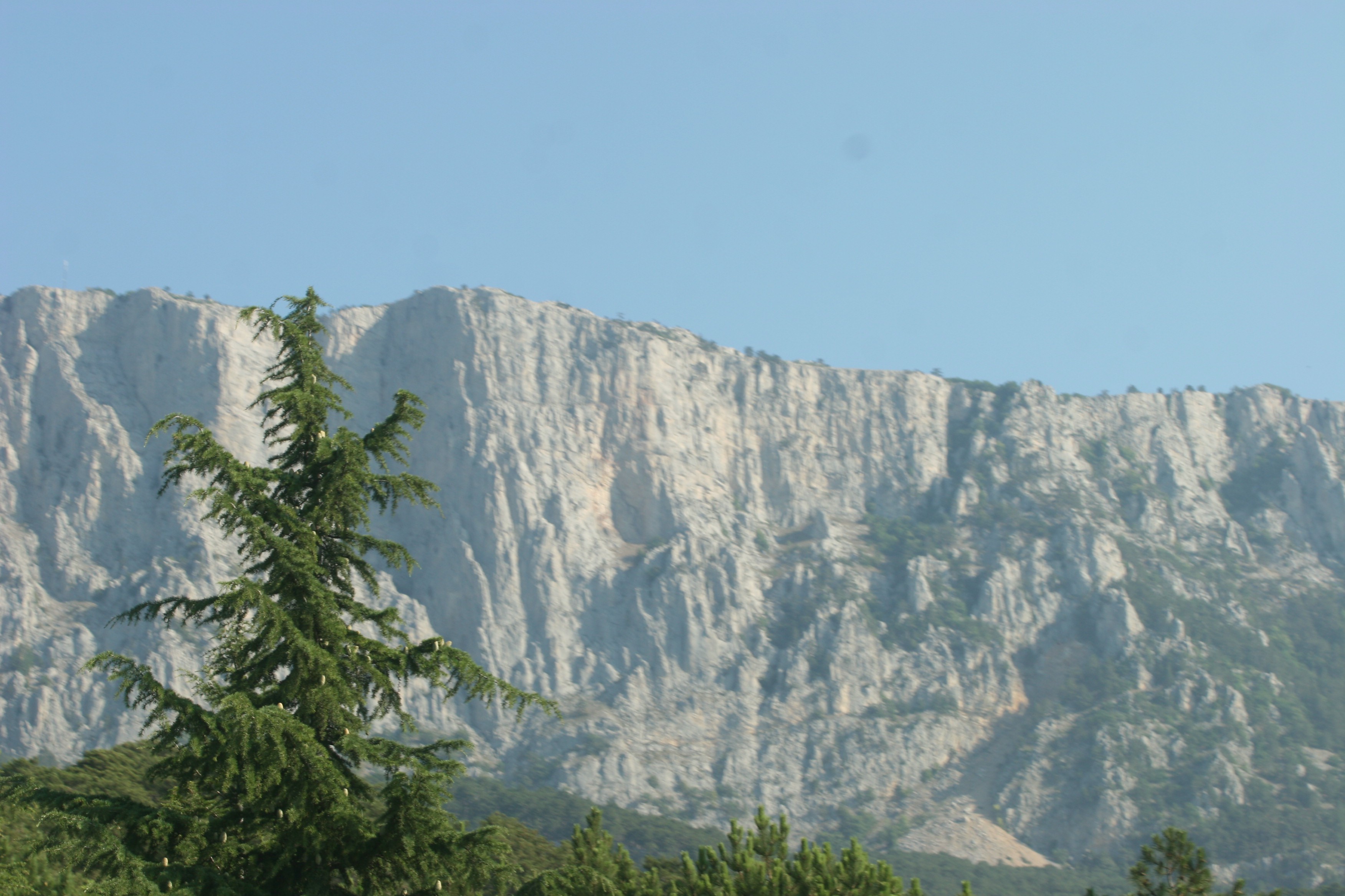 IMG 078.jpg