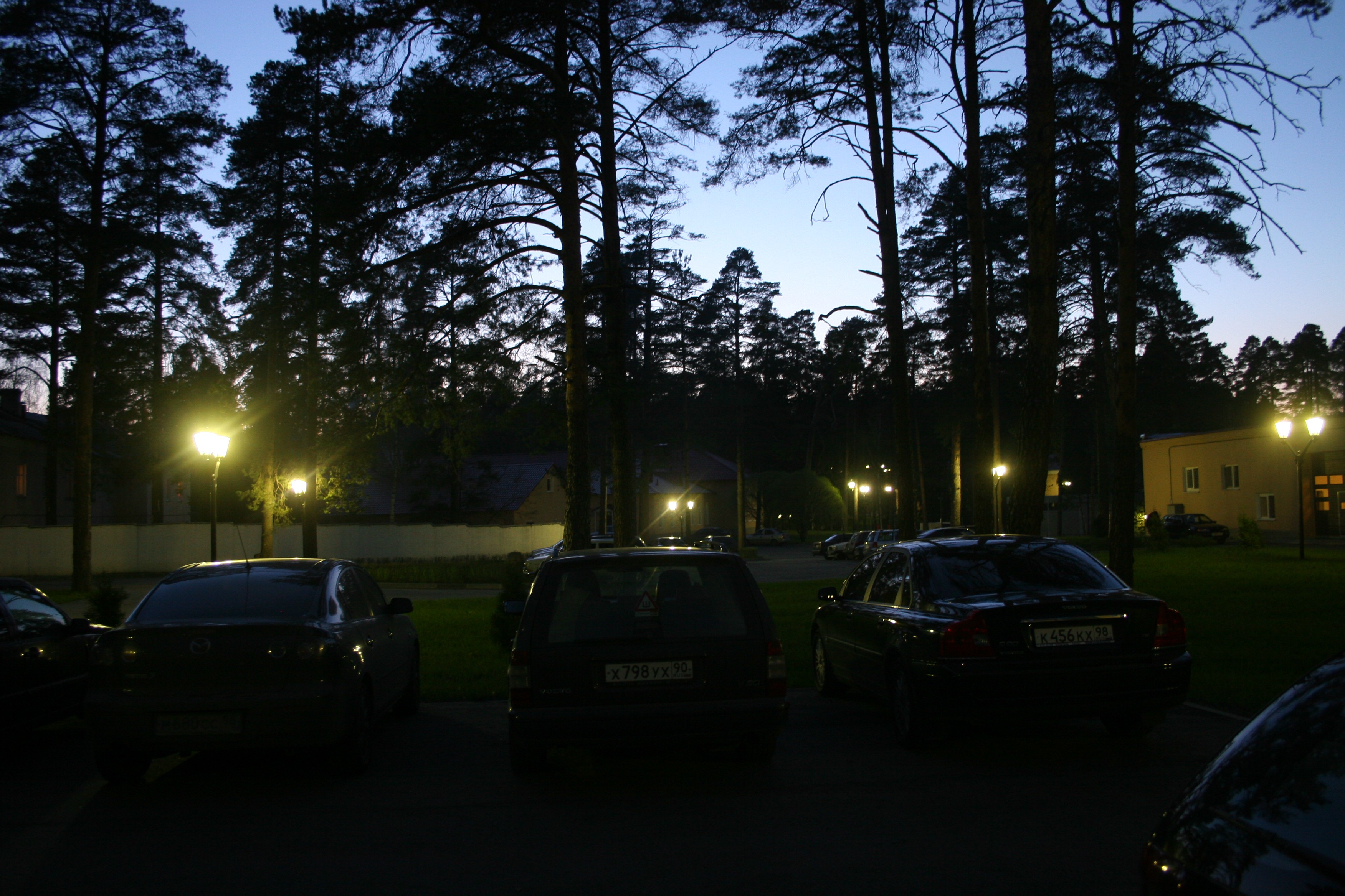 IMG 114.jpg